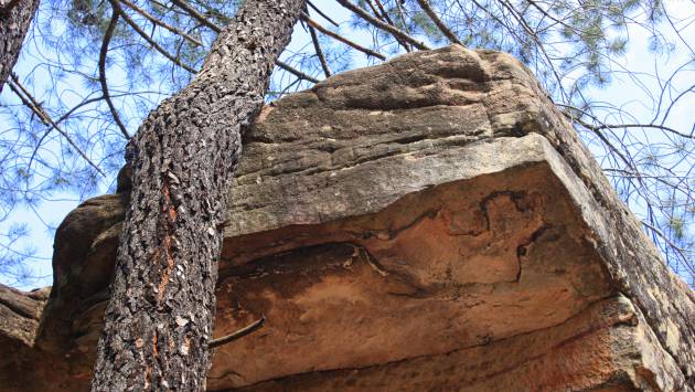 Las pinturas se conservan sobre la roca arenisca o rodena de este paraje. Las pinturas se conservan sobre la roca arenisca o rodena de este paraje.