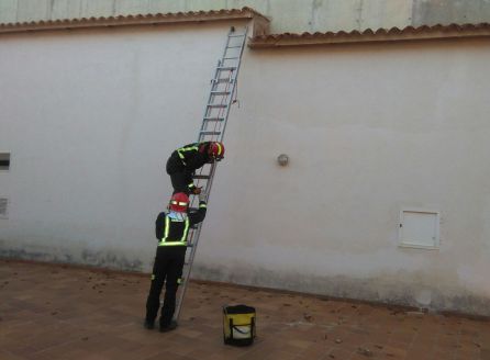 Momento en que los bomberos resatan un gato en Cazora Momento en que los bomberos resatan un gato en Cazora