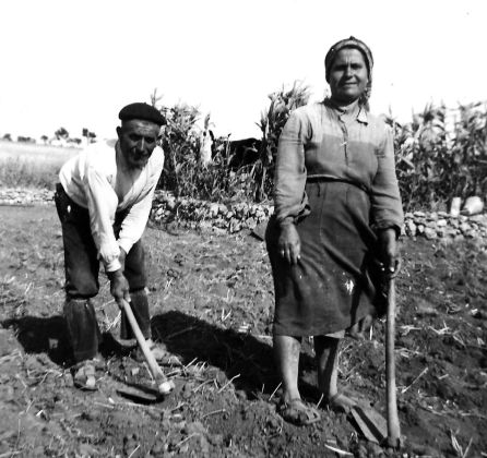 Muchos centenarios habían trabajado toda su vida en el campo. Muchos centenarios habían trabajado toda su vida en el campo.