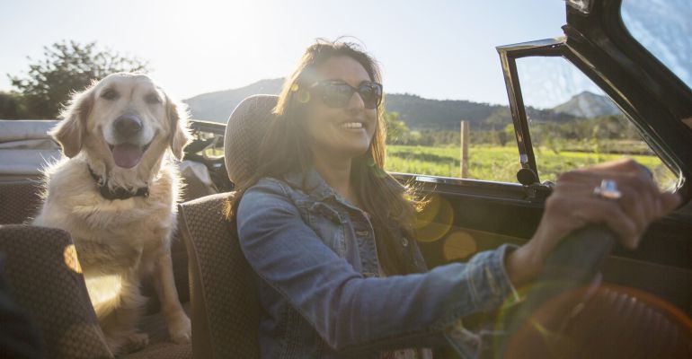 Cómo viajar con tu mascota y no morir en el intento Cómo viajar con tu mascota y no morir en el intento