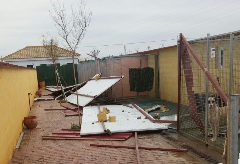 El temporal arrasa varios refugios de animales en Sevilla El temporal arrasa varios refugios de animales en Sevilla