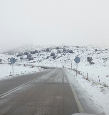 Las carreteras de la zona no presentan problemas auque se pide precaución por las heladas. Las carreteras de la zona no presentan problemas auque se pide precaución por las heladas.
