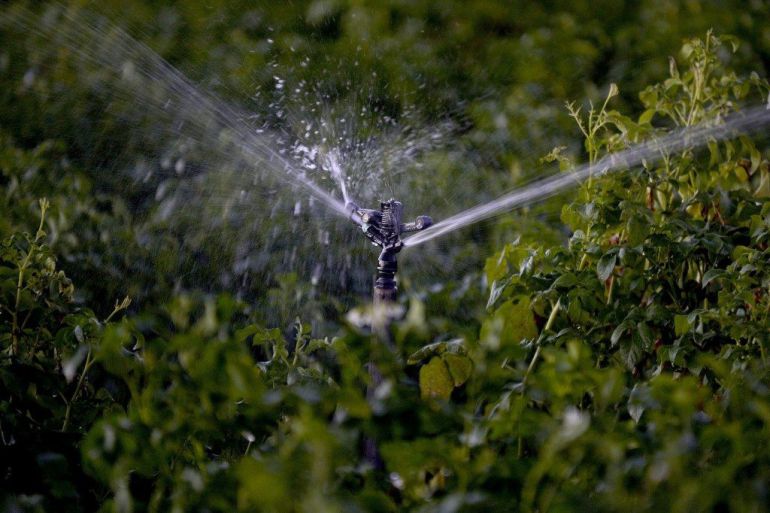 Los regantes de Cogolludo ya tienen la concesión de agua por parte de la CHT: Los regantes de Cogolludo ya tienen la concesión de agua por parte de la CHT Los regantes de Cogolludo ya tienen la concesión de agua por parte de la CHT: Los regantes de Cogolludo ya tienen la concesión de agua por parte de la CHT