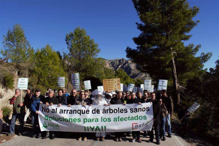 Manifestación en Guadalest ante el plan de erradicación de la Xylella fastidiosa Manifestación en Guadalest ante el plan de erradicación de la Xylella fastidiosa