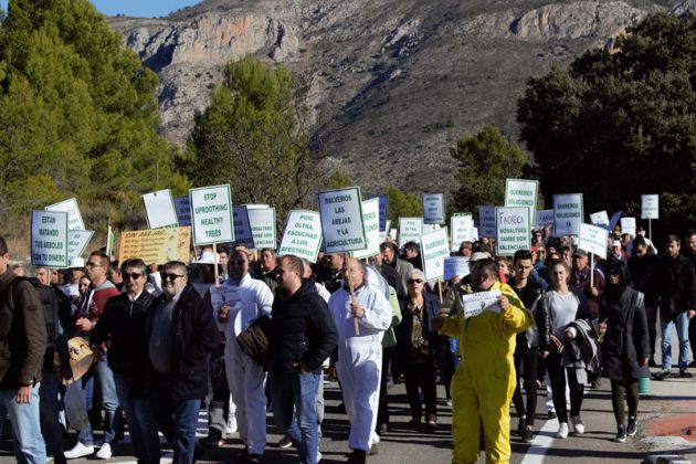 Alicante: Manifestación multitudinaria en Guadalest por el plan de erradicación contra la Xylella de la conselleria Alicante: Manifestación multitudinaria en Guadalest por el plan de erradicación contra la Xylella de la conselleria
