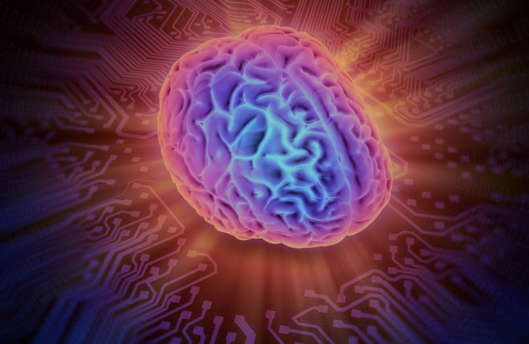 Recreación de un cerebro humano sobre un circuito impreso Recreación de un cerebro humano sobre un circuito impreso
