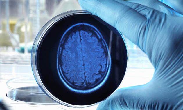 SER 3.0, con Paco Maciá y José Vicente Beviá: Tecnologías que revolucionarán la medicina SER 3.0, con Paco Maciá y José Vicente Beviá: Tecnologías que revolucionarán la medicina