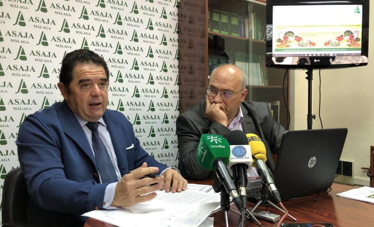 Baldomero Bellido y Benjamín Faulí durante la rueda de prensa de este martes en ASAJA Málaga Baldomero Bellido y Benjamín Faulí durante la rueda de prensa de este martes en ASAJA Málaga