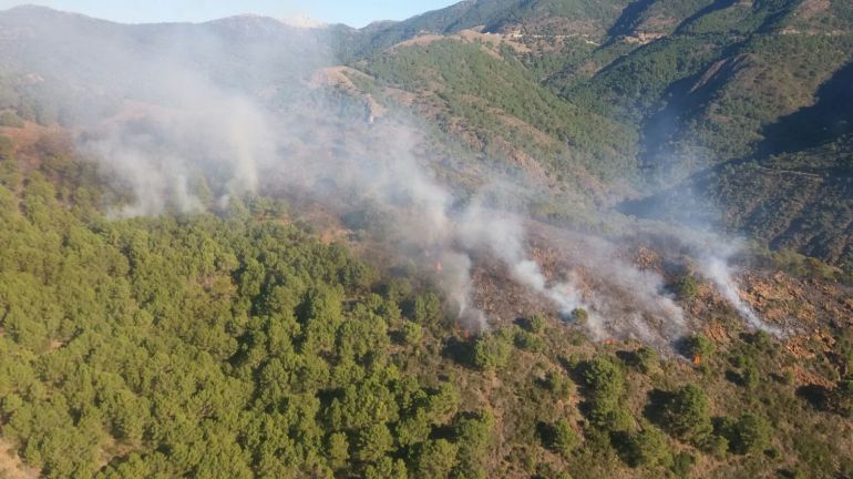 Las llamas en la finca donde se ha declarado el incendio Las llamas en la finca donde se ha declarado el incendio