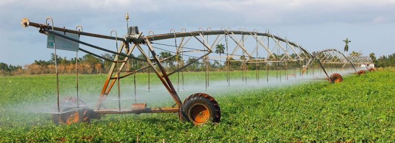 CHG mantiene dotación de agua para cultivos leñosos y reduce la de herbáceos CHG mantiene dotación de agua para cultivos leñosos y reduce la de herbáceos