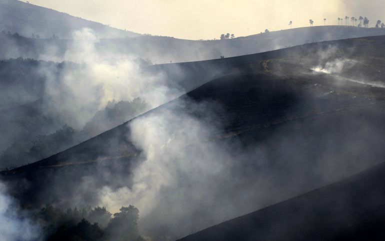 Una empresa de relojs y una ONG ayudarán a reforestar la montaña de Lugo tras los incendios Una empresa de relojs y una ONG ayudarán a reforestar la montaña de Lugo tras los incendios