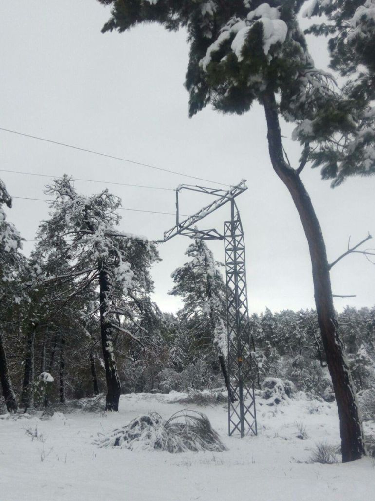 La caída de ramas sobre el tendido eléctrico ha dejado sin luz a Lastras de Cuéllar. La caída de ramas sobre el tendido eléctrico ha dejado sin luz a Lastras de Cuéllar.