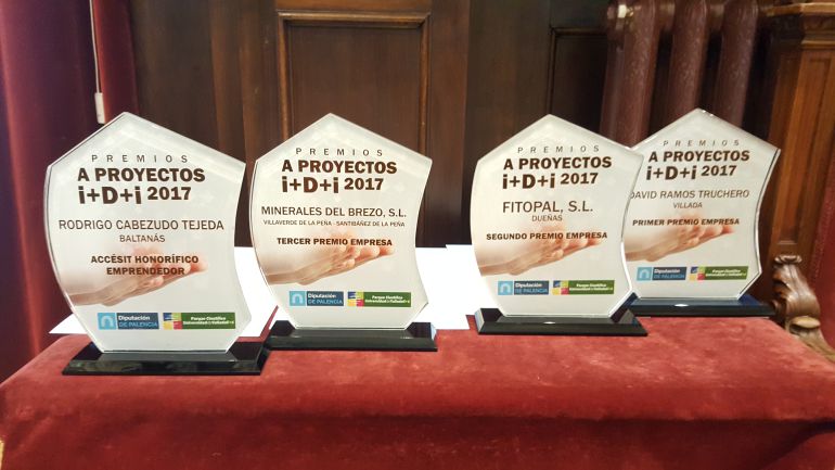 Galardones entregados en la primera edición de los "Premios a Proyectos I+D+i 2017" de la Diputación de Palencia Galardones entregados en la primera edición de los "Premios a Proyectos I+D+i 2017" de la Diputación de Palencia