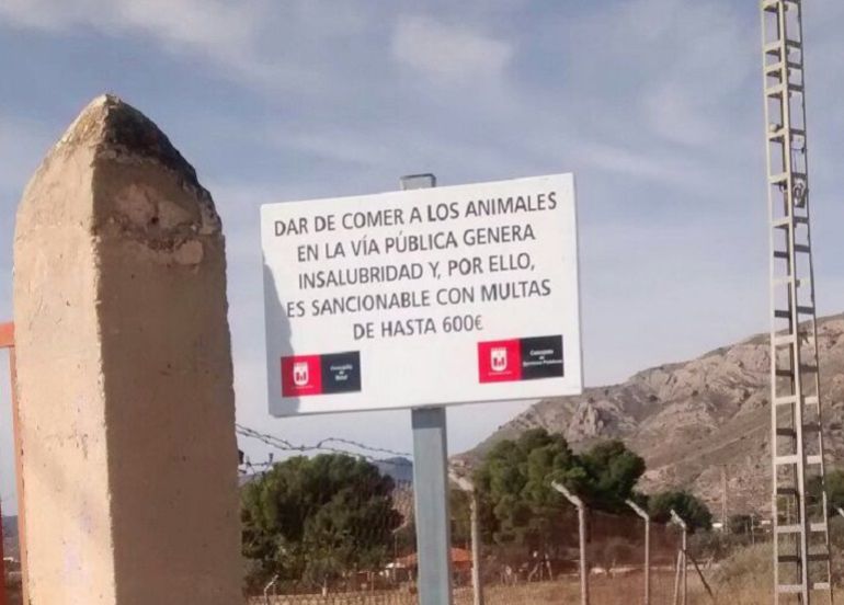 Cartel en el ayuntamiento de Elda Cartel en el ayuntamiento de Elda