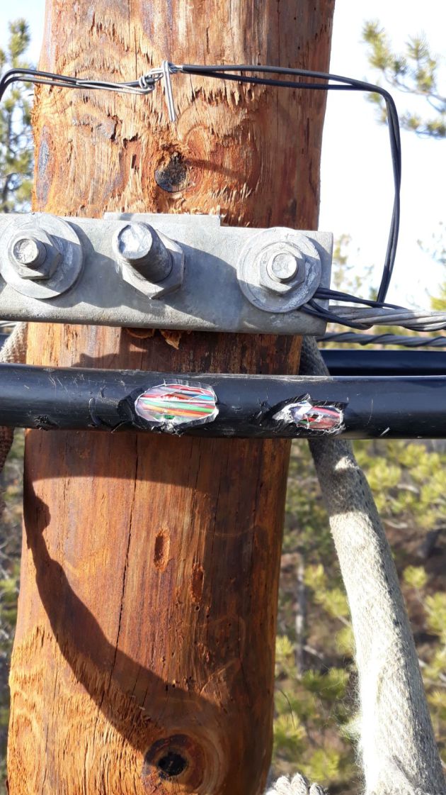 Averías telefónicas en Guadalajara. Los pájaros ‘picapinos’ dejan sin teléfono a varios municipios de la comarca del Señorío: Los ‘picapinos’ dejan sin teléfono a varios municipios de la comarca del Señorío Averías telefónicas en Guadalajara. Los pájaros ‘picapinos’ dejan sin teléfono a varios municipios de la comarca del Señorío: Los ‘picapinos’ dejan sin teléfono a varios municipios de la comarca del Señorío