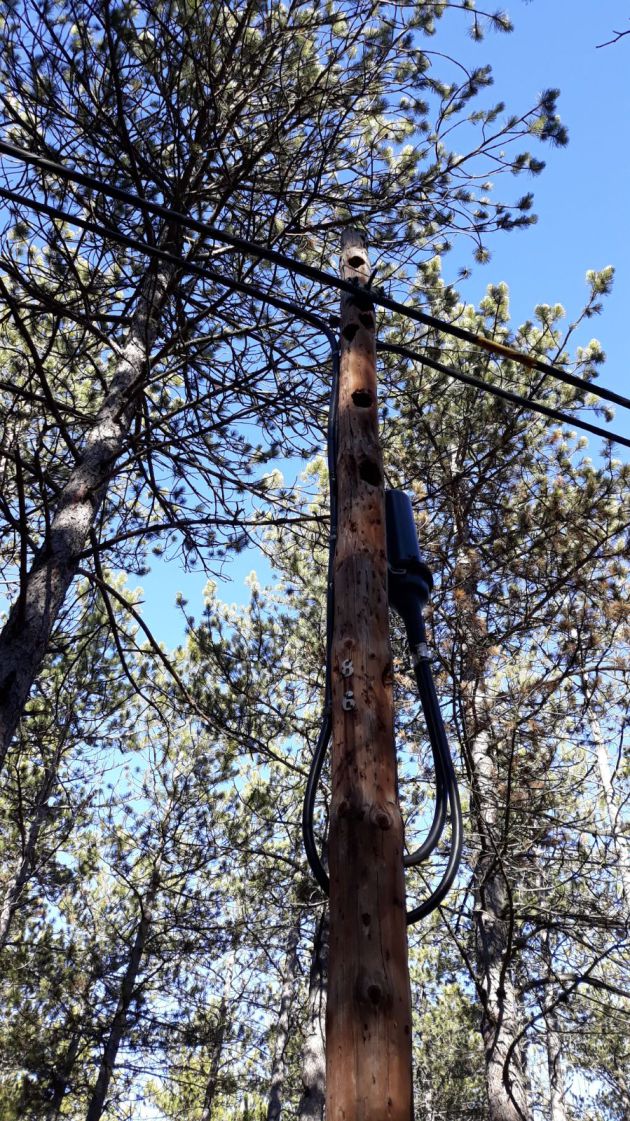 Averías telefónicas en Guadalajara. Los pájaros ‘picapinos’ dejan sin teléfono a varios municipios de la comarca del Señorío: Los ‘picapinos’ dejan sin teléfono a varios municipios de la comarca del Señorío Averías telefónicas en Guadalajara. Los pájaros ‘picapinos’ dejan sin teléfono a varios municipios de la comarca del Señorío: Los ‘picapinos’ dejan sin teléfono a varios municipios de la comarca del Señorío