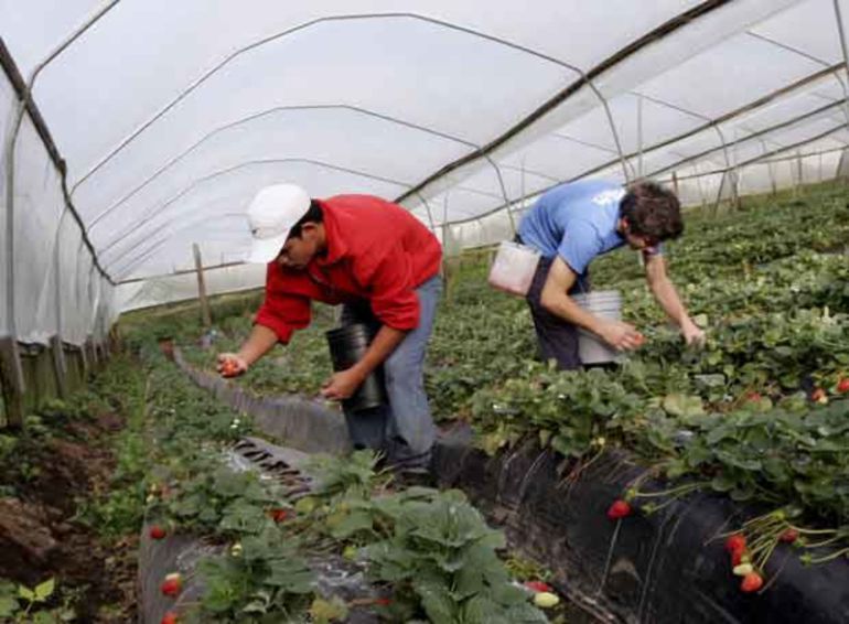 El Andévalo se prepara para abrir el campo al regadío El Andévalo se prepara para abrir el campo al regadío