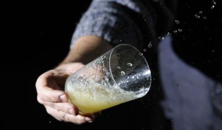 La sidra de este año es afrutada y "muy limpia en nariz" La sidra de este año es afrutada y "muy limpia en nariz"