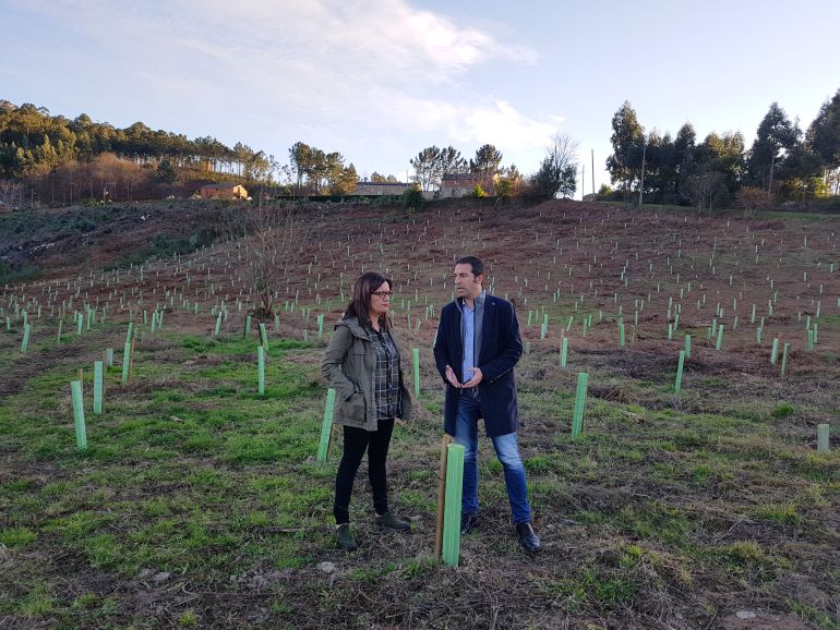 El alcalde de Cervo y la edil de Medio Ambiente en la finca donde se plantaron los árboles autóctonos El alcalde de Cervo y la edil de Medio Ambiente en la finca donde se plantaron los árboles autóctonos