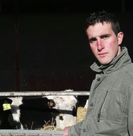 Ganadería Hermanos Fernández en Lastras de Cuéllar Ganadería Hermanos Fernández en Lastras de Cuéllar