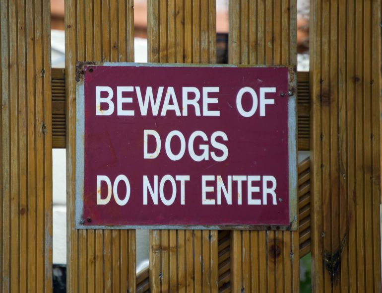 ¿Cómo actuar ante el ataque de un perro peligroso? ¿Cómo actuar ante el ataque de un perro peligroso?
