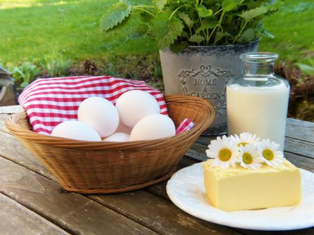 La leche y sus derivados aportan calcio, muy recomendable para prevenir la osteoporosis La leche y sus derivados aportan calcio, muy recomendable para prevenir la osteoporosis