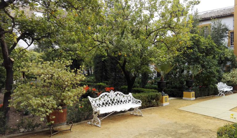 Jardines del Palacio de Dueñas Jardines del Palacio de Dueñas