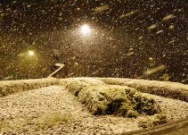 El vídeo de la nevada que ha dejado bellas estampas en Granada... y ha cortado la A-92