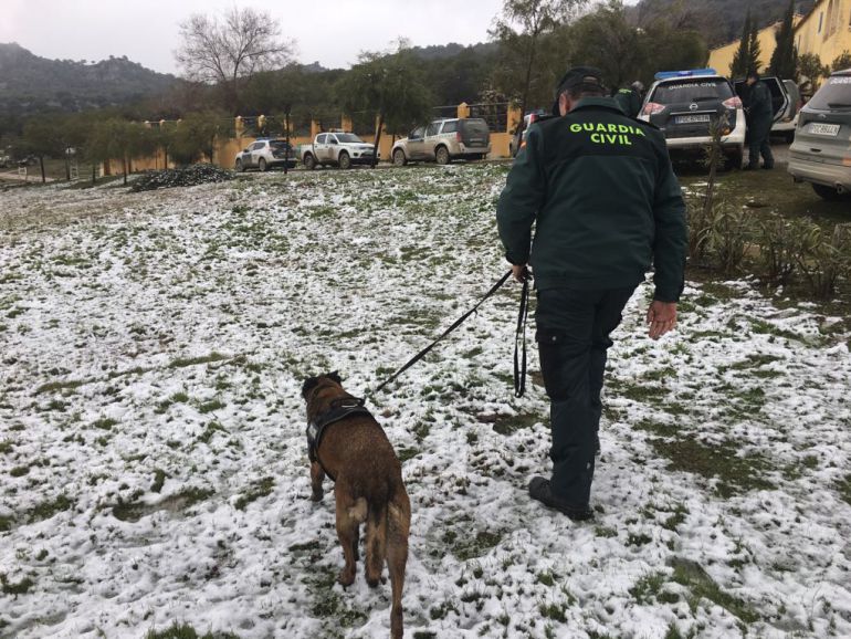 Localizado a 500 metros del lugar donde habia desaparecido Localizado a 500 metros del lugar donde habia desaparecido