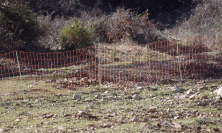 Malla de demarcación instalada en los últimos días y que tendrá que ser retirada Malla de demarcación instalada en los últimos días y que tendrá que ser retirada