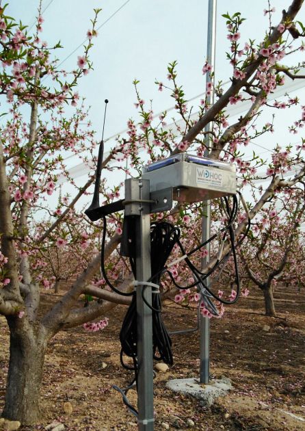 Riego con sensores: un sistema para ahorrar un 40% de agua Riego con sensores: un sistema para ahorrar un 40% de agua