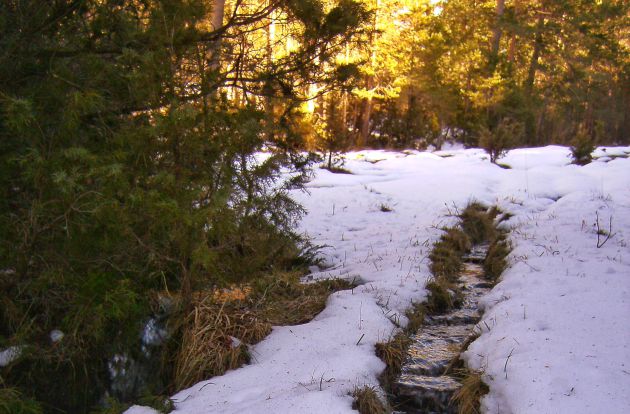 Río Júcar en su nacimiento. Río Júcar en su nacimiento.