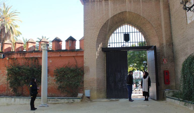 Visitas al Alcázar gratuitas y guiadas para los empadronados en Sevilla Visitas al Alcázar gratuitas y guiadas para los empadronados en Sevilla