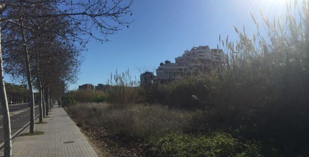 La maleza se encuentra muy próxima a la calzada, con riesgo de incendio implícito La maleza se encuentra muy próxima a la calzada, con riesgo de incendio implícito