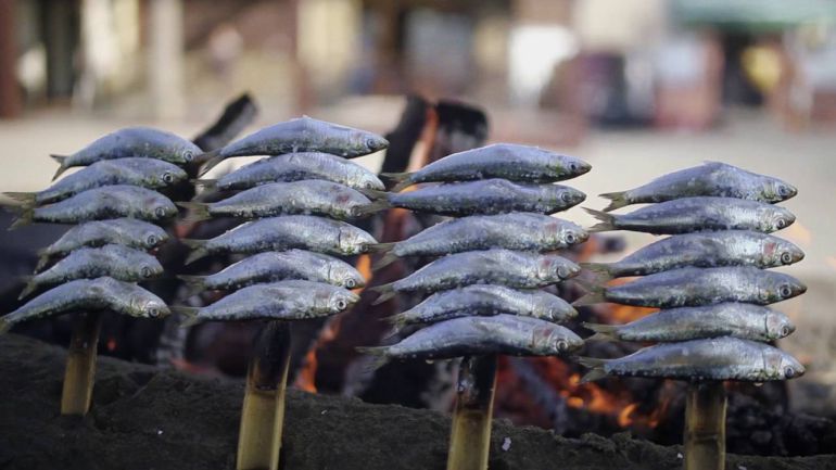 Espetos de sardina Málaga: El origen de los espetos de sardina Espetos de sardina Málaga: El origen de los espetos de sardina