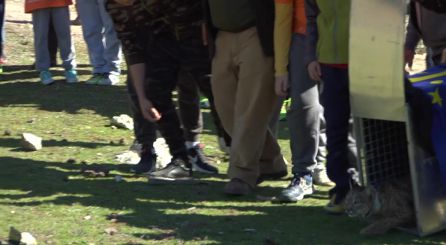 Obulco en el momento de salir de la jaula Obulco en el momento de salir de la jaula