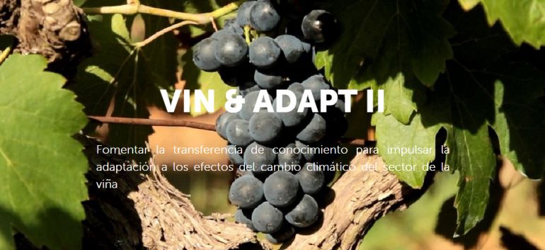 D.O. Uclés promoverá talleres para adaptar la viticultura al cambio climático D.O. Uclés promoverá talleres para adaptar la viticultura al cambio climático