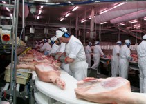 Una trabajadora resulta herida por aplastamiento abdominal en el matadero de Incarlopsa en Tarancón