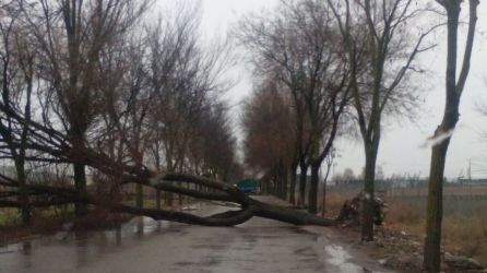 Un tornado golpea Villarrubia de los Ojos en apenas 3 minutos Un tornado golpea Villarrubia de los Ojos en apenas 3 minutos