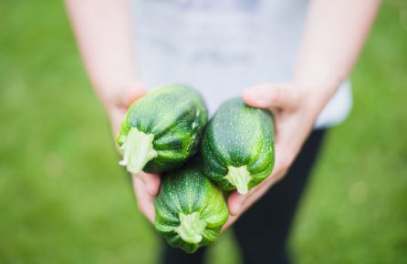 Una dieta rica en verduras ayuda a reducir los niveles de colesterol Una dieta rica en verduras ayuda a reducir los niveles de colesterol