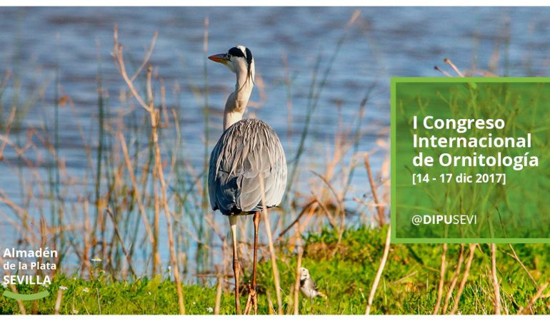 Almadén de la Plata acoge el I Congreso Internacional de Ornitología Almadén de la Plata acoge el I Congreso Internacional de Ornitología