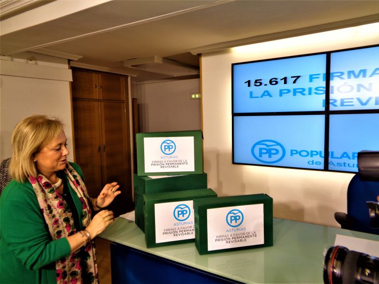 Mercedes Fernández ante las cajas que contienen las 15.617 firmas Mercedes Fernández ante las cajas que contienen las 15.617 firmas