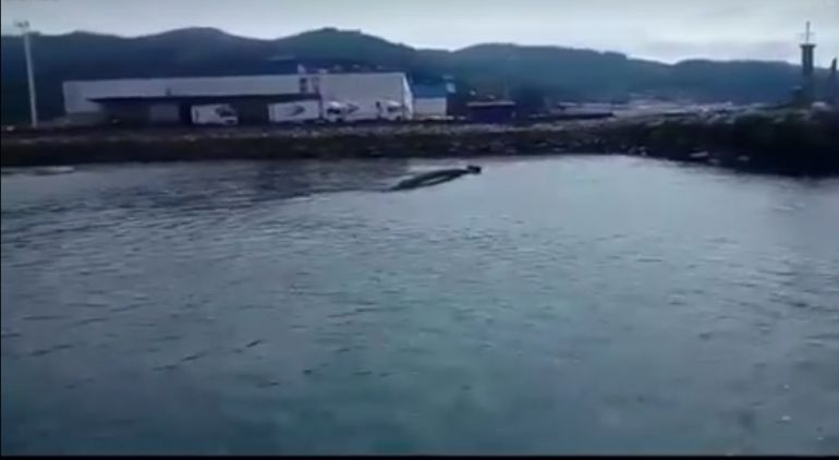 Imagen publicada por el BNG de Viveiro en la que se aprecia como el emsiario submarino sale a flote. Imagen publicada por el BNG de Viveiro en la que se aprecia como el emsiario submarino sale a flote.
