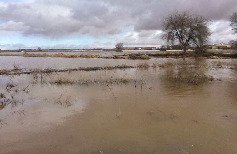 Desbordado el río Amarguillo a su paso por Camuñas Desbordado el río Amarguillo a su paso por Camuñas