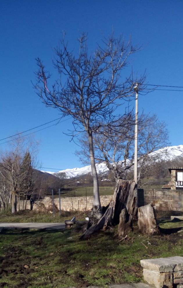Plaza del Abuelo. Plaza del Abuelo.