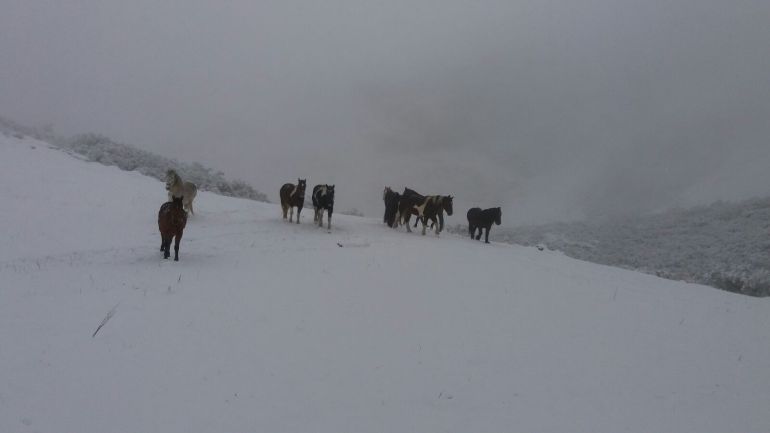 Una imagen de las brañas de Somiedo cubiertas de nieve durante uno de los temporales de este invierno. Una imagen de las brañas de Somiedo cubiertas de nieve durante uno de los temporales de este invierno.