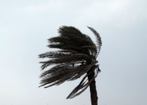 La primavera se estrena con viento y fuerte oleaje este martes en Canarias