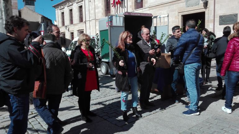 Reparto de plantones en la Plaza de Viriato de la Capital con motivo del Día Mundial del Árbol Reparto de plantones en la Plaza de Viriato de la Capital con motivo del Día Mundial del Árbol
