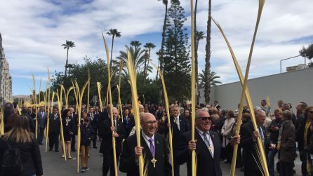 Procesión Domingo de Ramos Elche Procesión Domingo de Ramos Elche