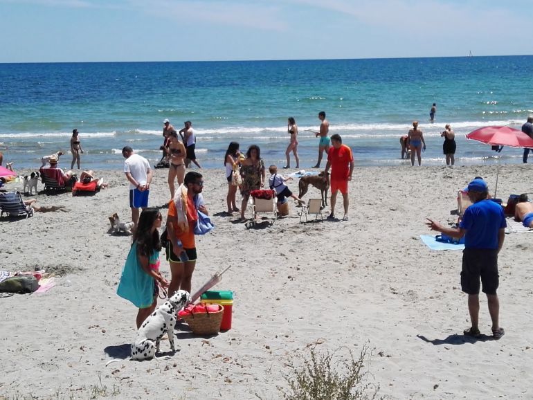 Playa para perros de Pinedo (Valencia) Playa para perros de Pinedo (Valencia)
